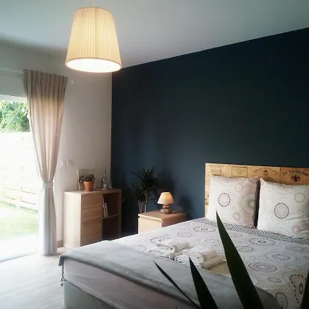 Hotes De